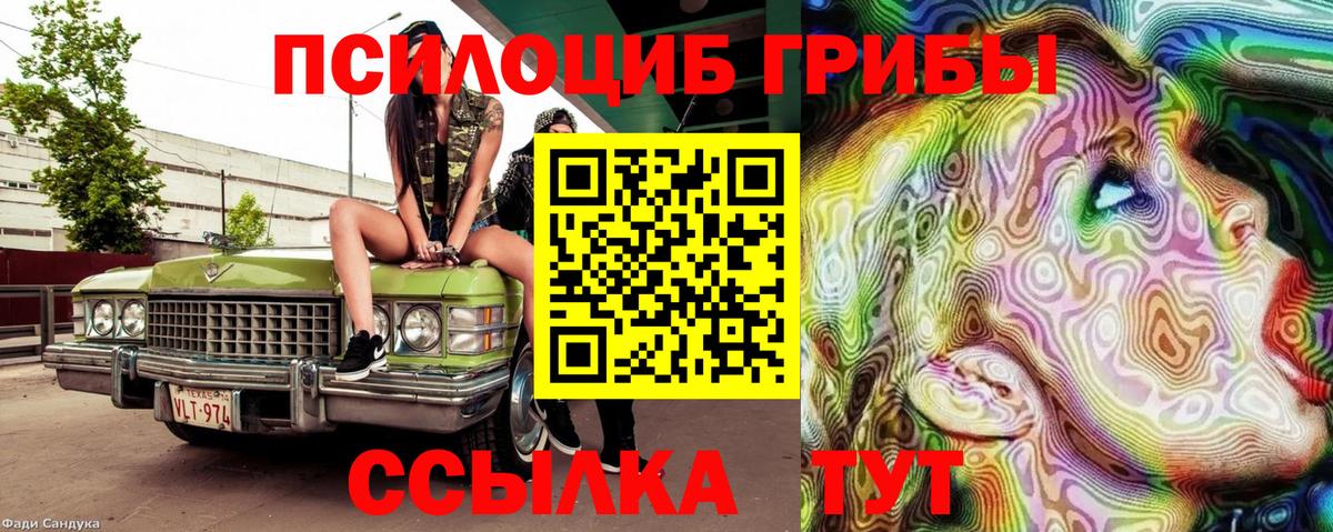 Псилоцибиновые грибы мицелий Сегежа