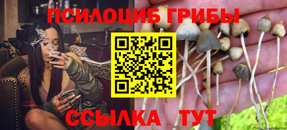 Галлюциногенные грибы прущие грибы  Псилоцибиновые грибы прущие грибы  Сегежа  Вход с VPN 